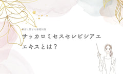 サッカロミセスセレビシアエエキスとは?