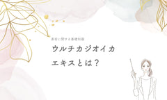 ウルチカジオイカエキスとは?