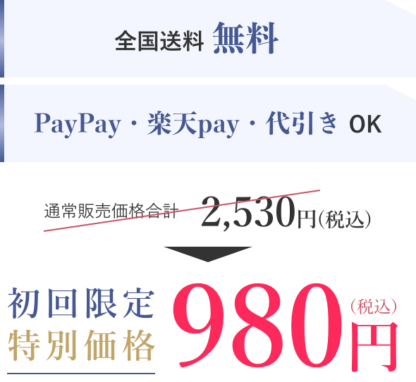 全国送料無料：PayPay・楽天pay・代引きOK、初回限定特別価格980円